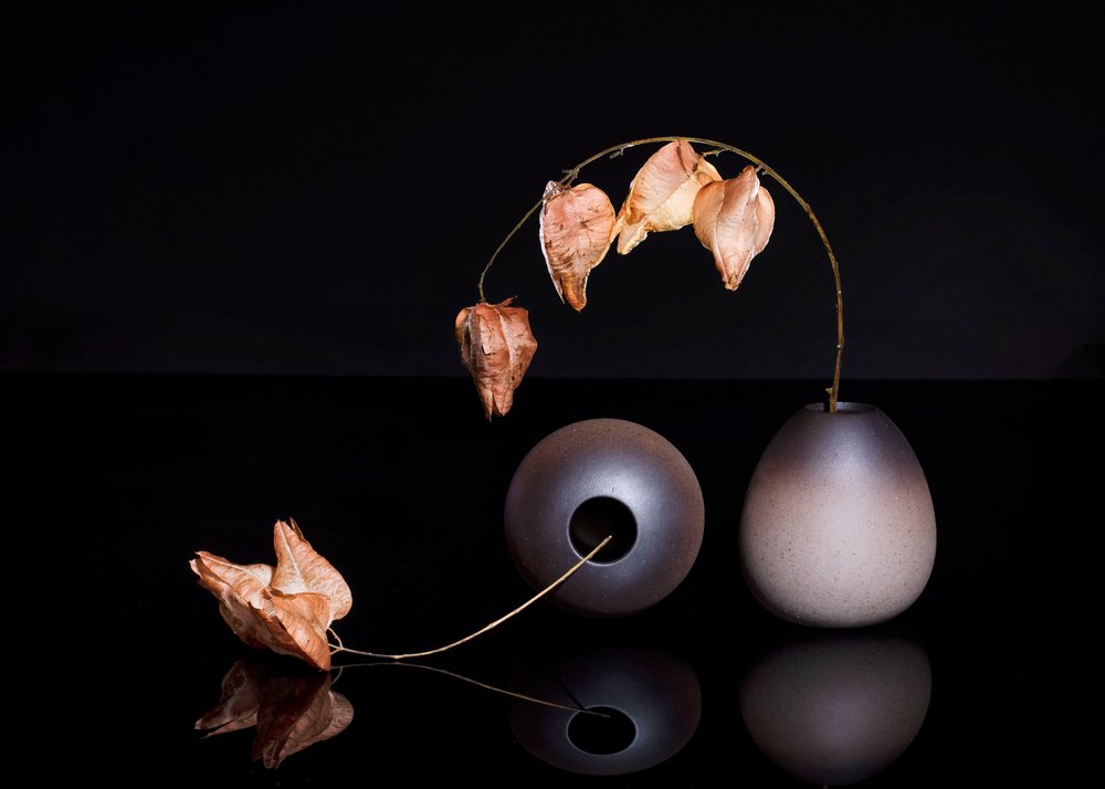 Lanterne cinesi essiccate da Ming Chen