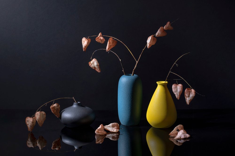 Vasi botanici moderni da Ming Chen