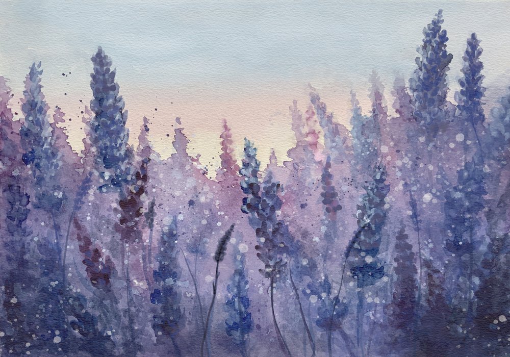 Bagliore del tramonto alla lavanda da Monica Lindblom