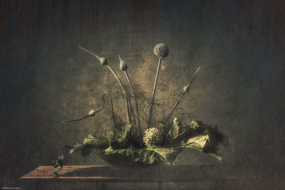 Natura morta botanica in tonalità scure da Monique van Velzen