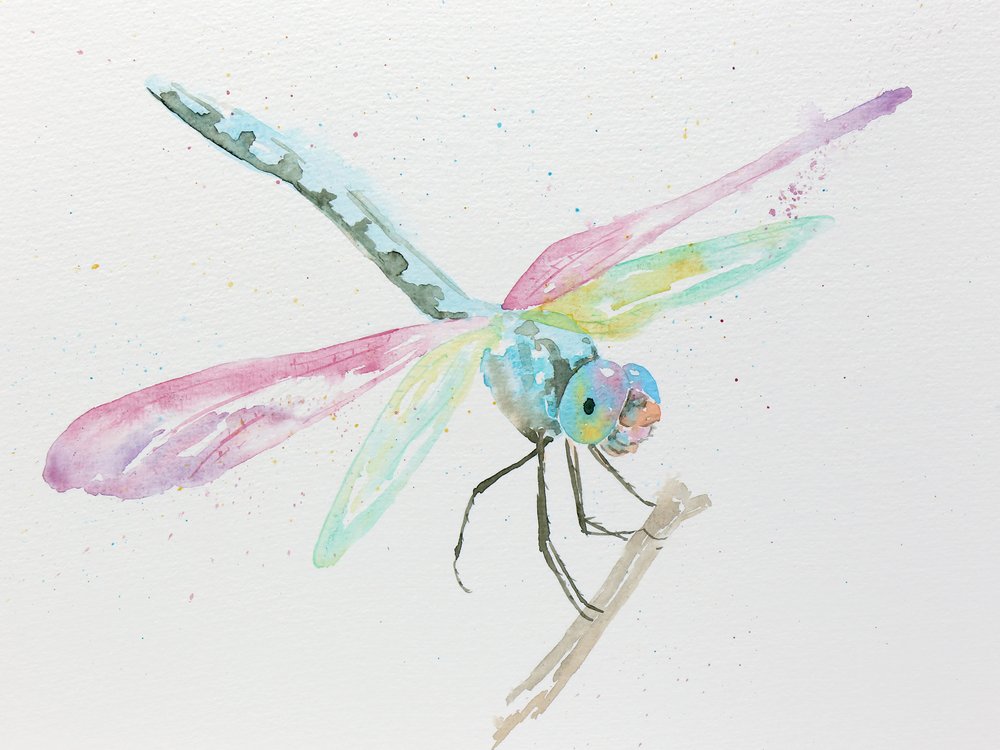 Libellule su un ramo dai colori pastello da Natalie Bruns