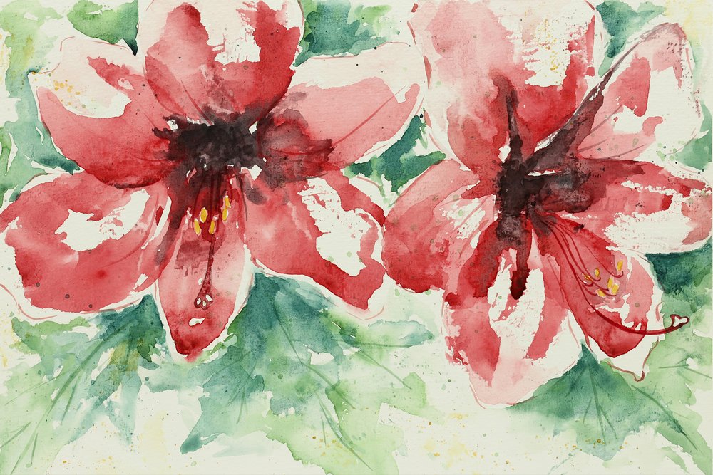 Fiori di un rosso vivace da Natalie Bruns