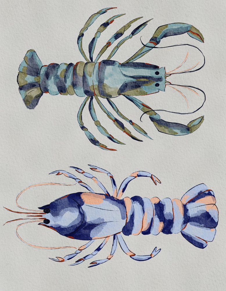 Aracnidi blu - Acquerello da Nikita Jariwala