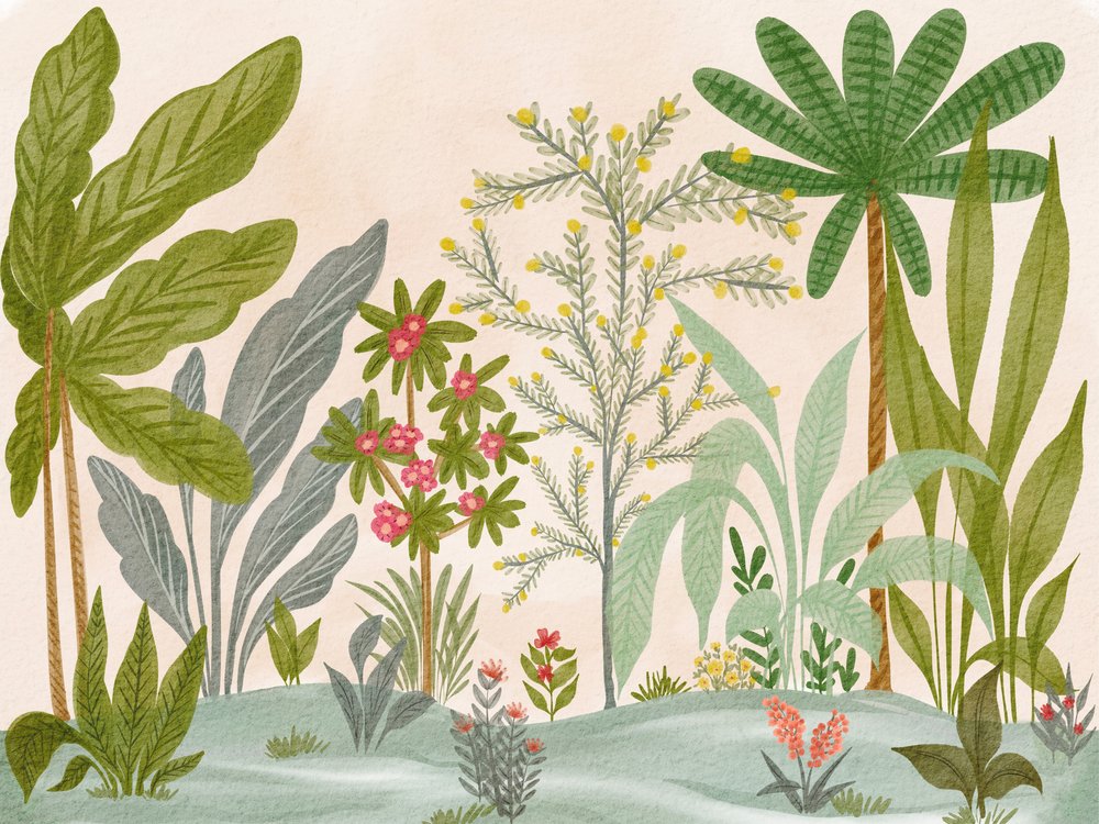 Rigoglioso giardino tropicale da Nikita Jariwala