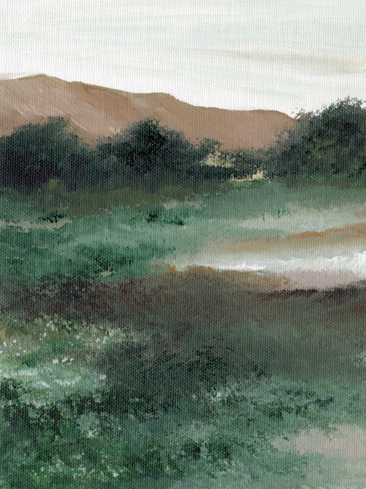 Paesaggio montano nebbioso da Nikita Jariwala