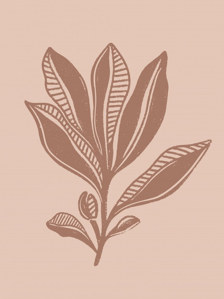 Disegno botanico naturale da Nikita Jariwala