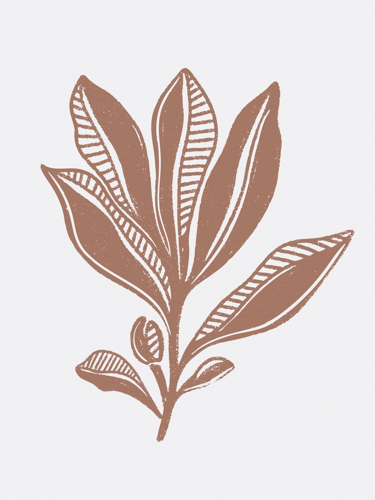 Schizzo botanico biologico da Nikita Jariwala