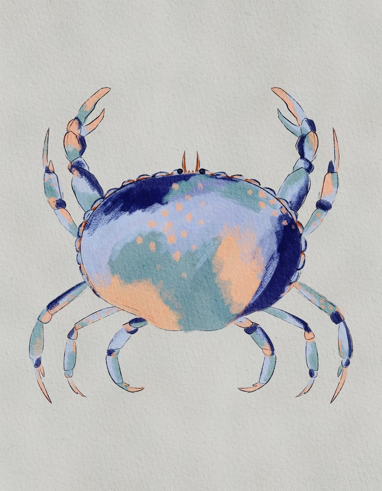 Granchio blu sereno da Nikita Jariwala