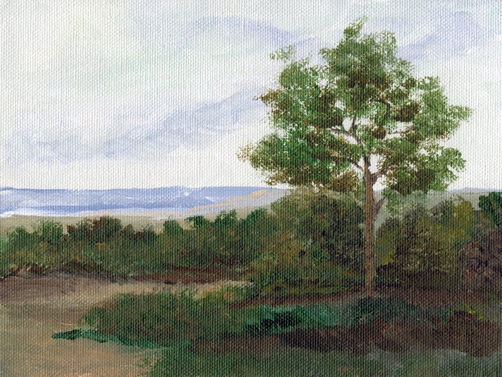 Sentiero tranquillo in campagna da Nikita Jariwala