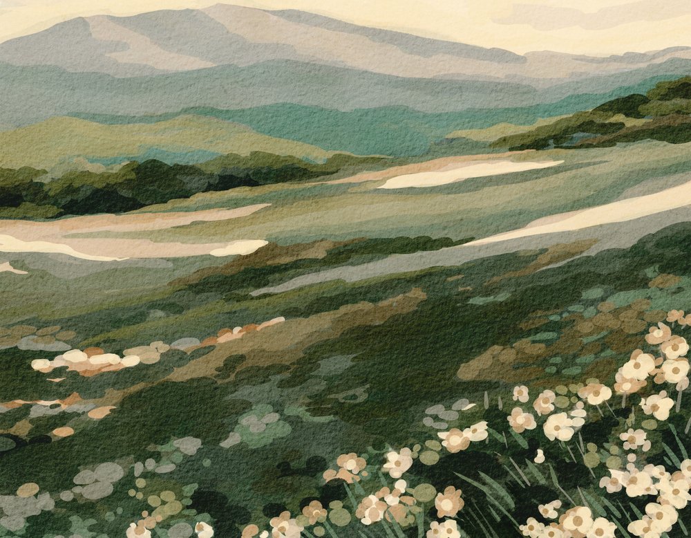 Paesaggio montano tra i fiori selvatici da Nikita Jariwala