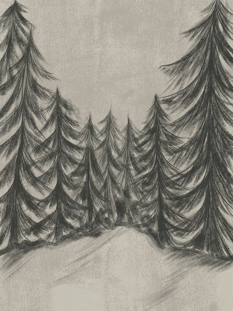 Schizzo di una foresta invernale da Nikita Jariwala