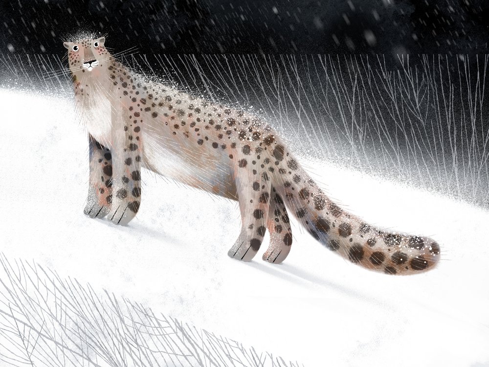 Notte invernale con il leopardo delle nevi da Olga Skomorokhova