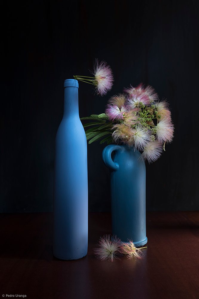Blu e rosa botanici da Pedro Uranga