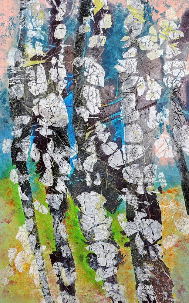 Boschi di betulle dai colori vivaci da Poonam Choudhary