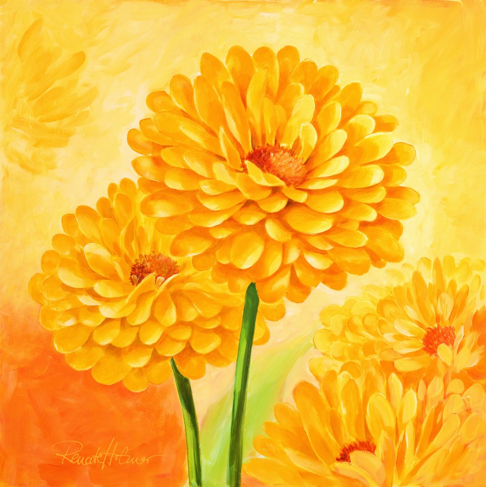 Fiori di un giallo vivace da Renate Holzner