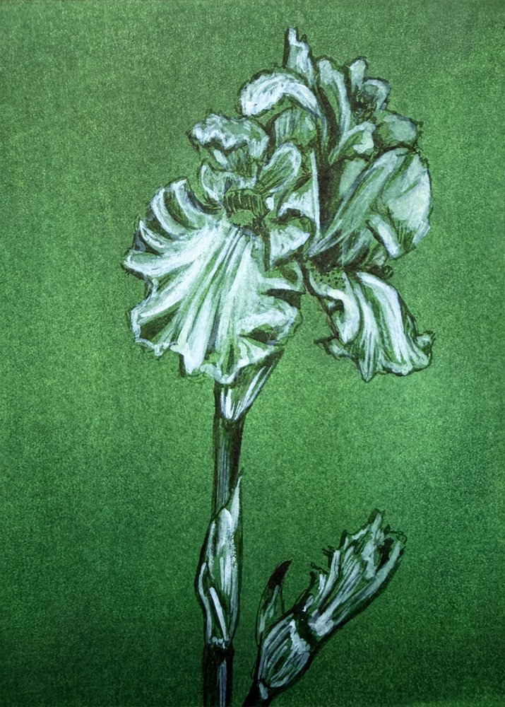 Elegante iris verde da Renee Machan Cottagecore Artist