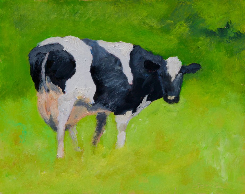 Mucca bianca e nera da Richard Gombar