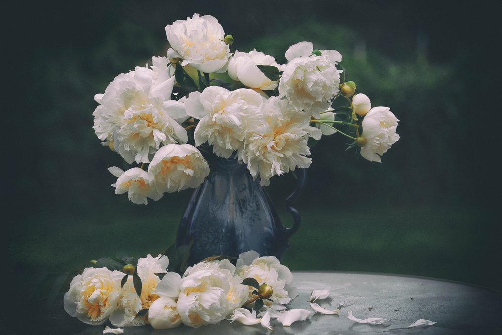 Natura morta con peonie bianche da Rob Li