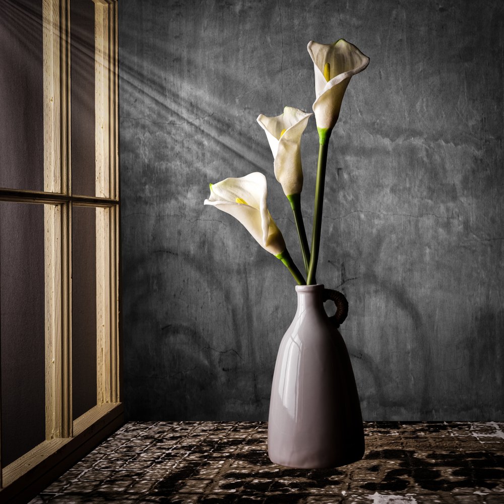 Gigli di Calla alla luce del sole da Rob Ryan