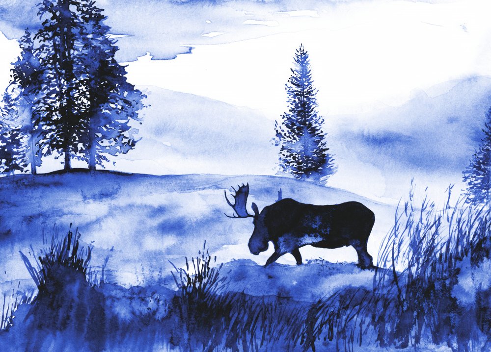Un paesaggio invernale con un alce da RodMacIver