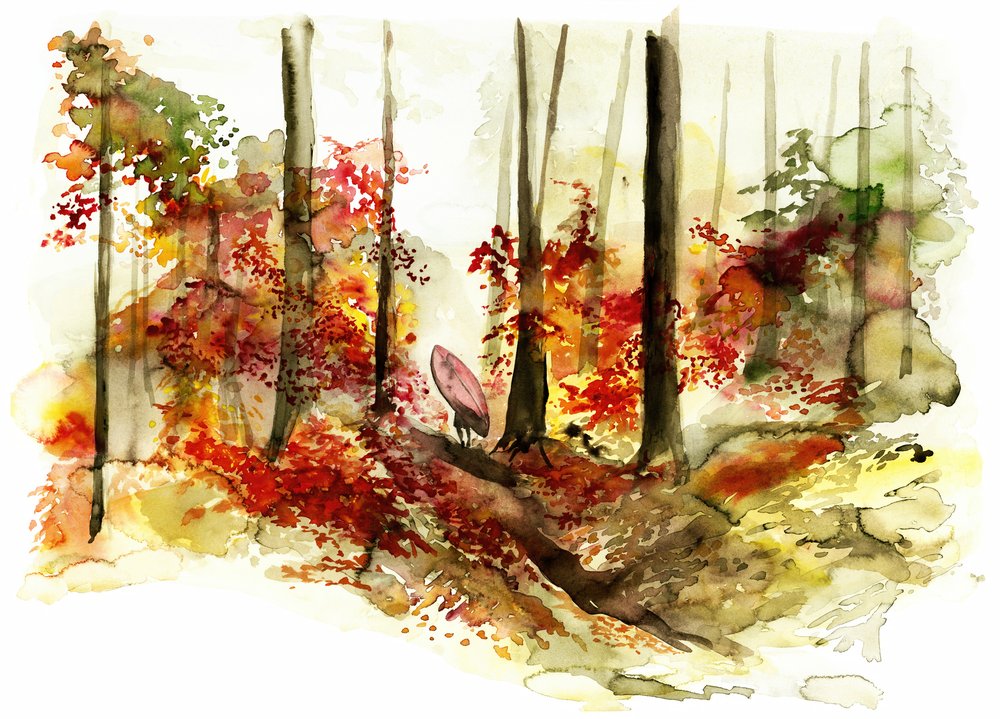 Viaggio alla scoperta delle onde nella foresta autunnale da RodMacIver
