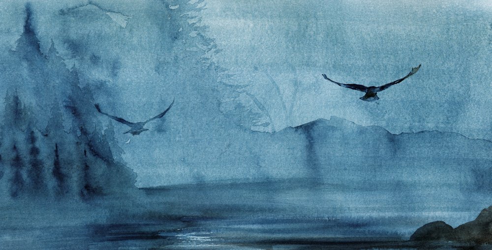 Uccelli nella nebbia blu da RodMacIver