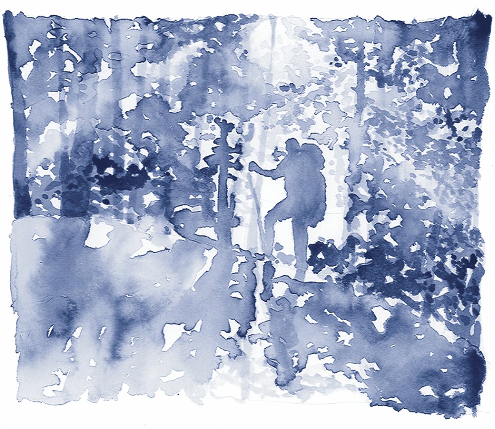 Escursionista della Foresta Blu da RodMacIver