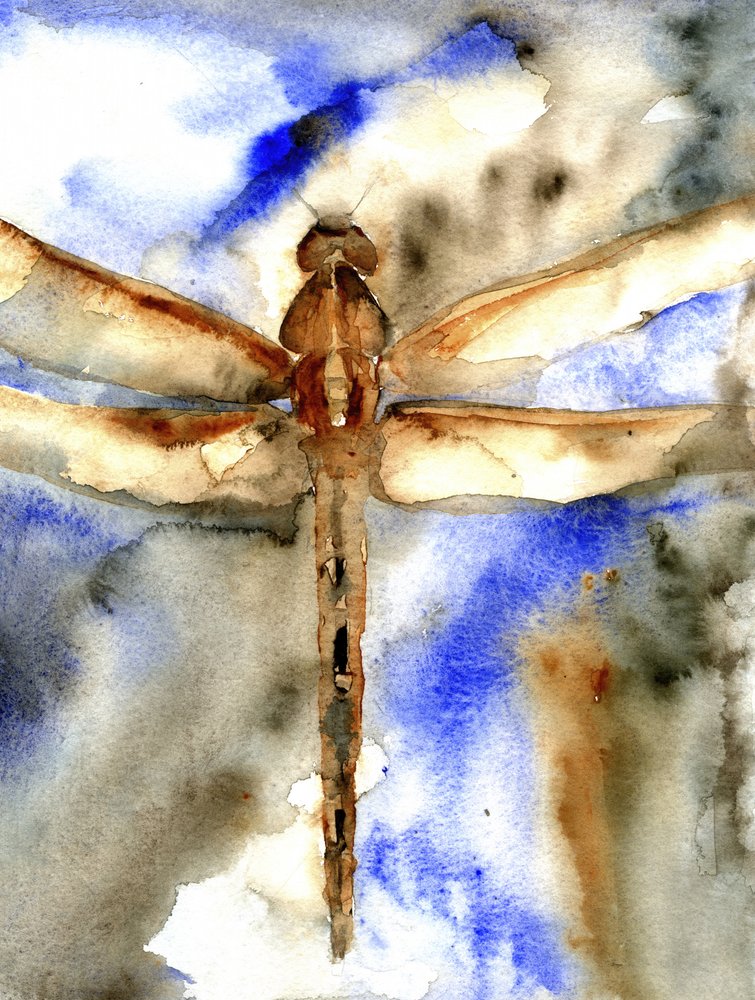 Libellula blu ad acquerello da RodMacIver