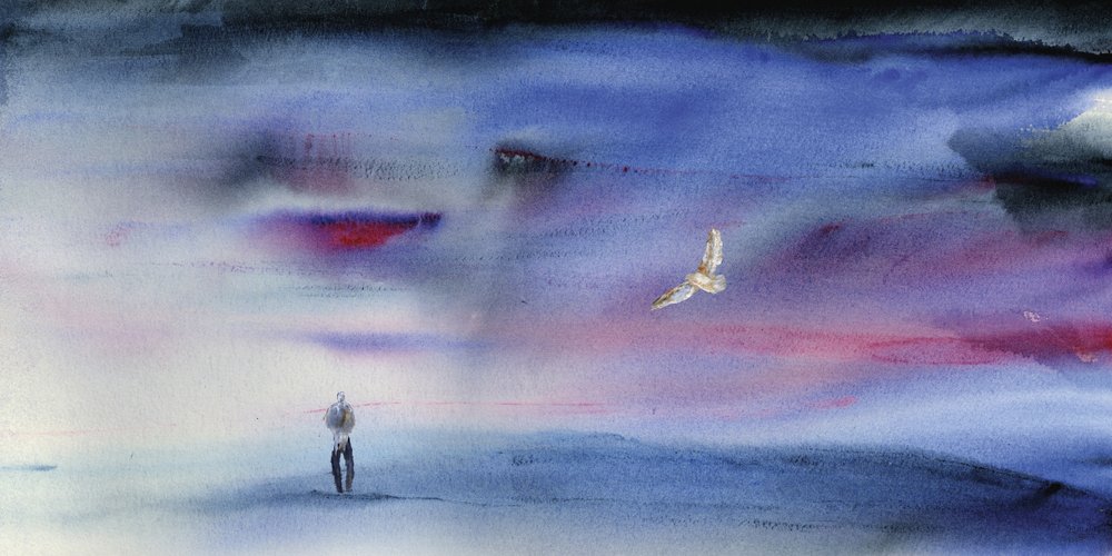 Un volo da sogno al crepuscolo da RodMacIver