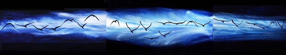 Uno stormo nel cielo etereo da RodMacIver