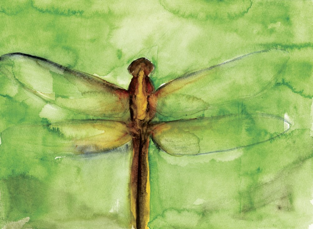 Libellula verde ad acquerello da RodMacIver