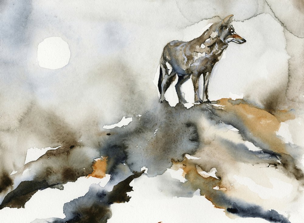 La luna del lupo solitario da RodMacIver