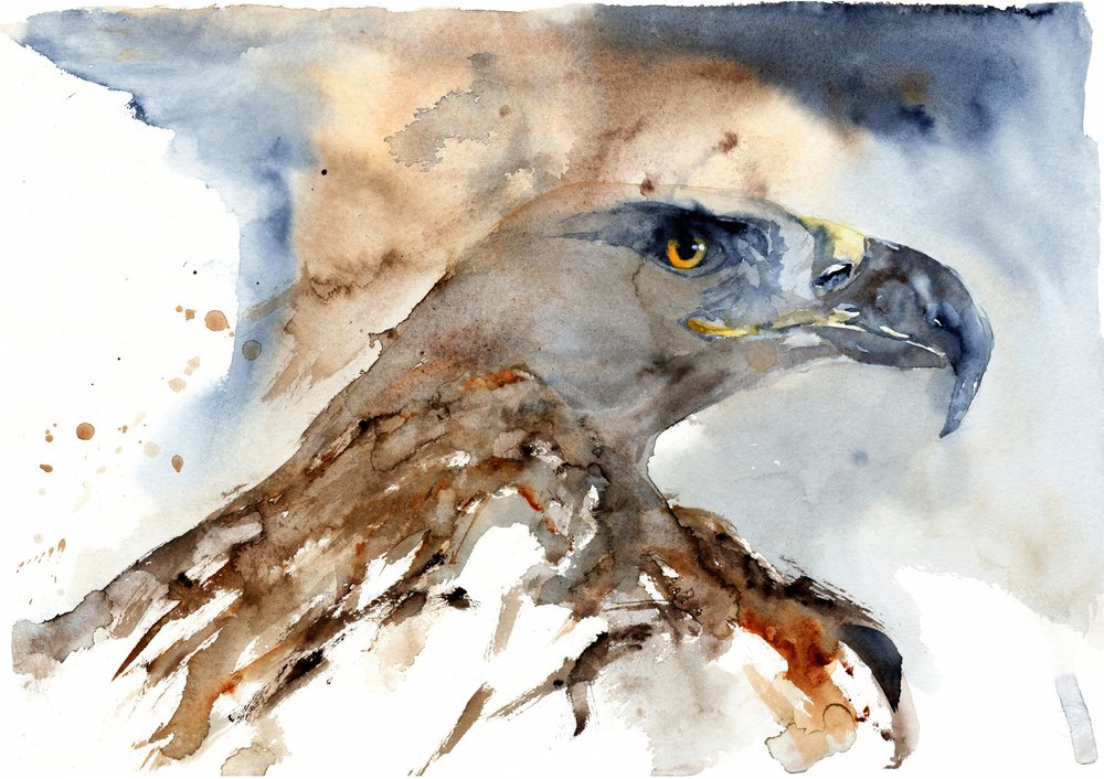Maestosa aquila ad acquerello da RodMacIver