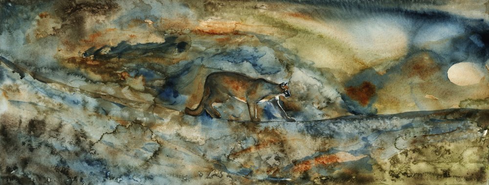 Il Passaggio del Puma da RodMacIver