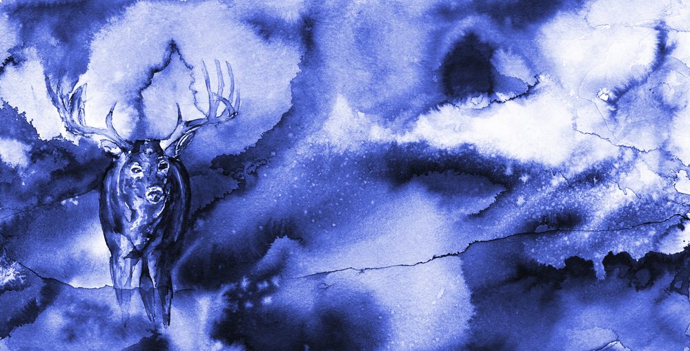 Il cervo blu mistico da RodMacIver