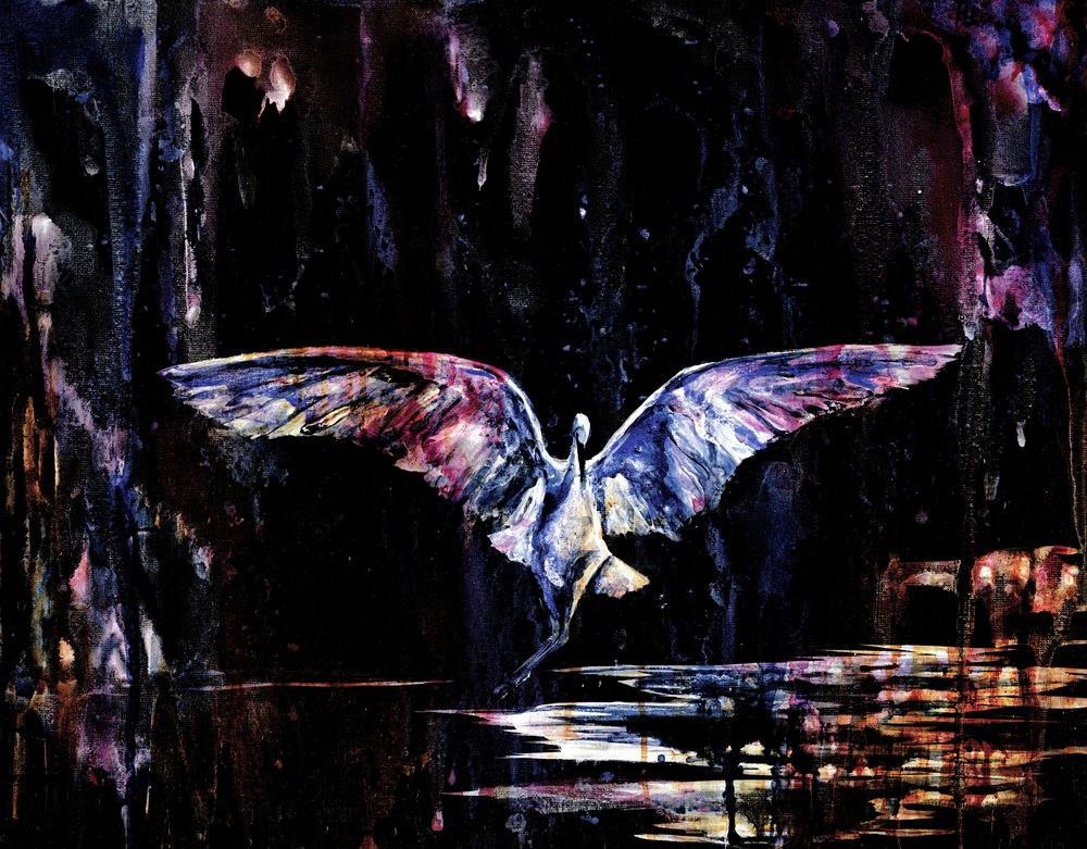 Volo notturno mistico da RodMacIver