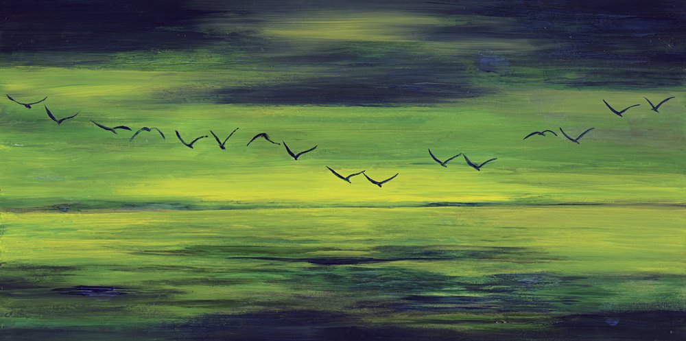 Volo verde sereno da RodMacIver