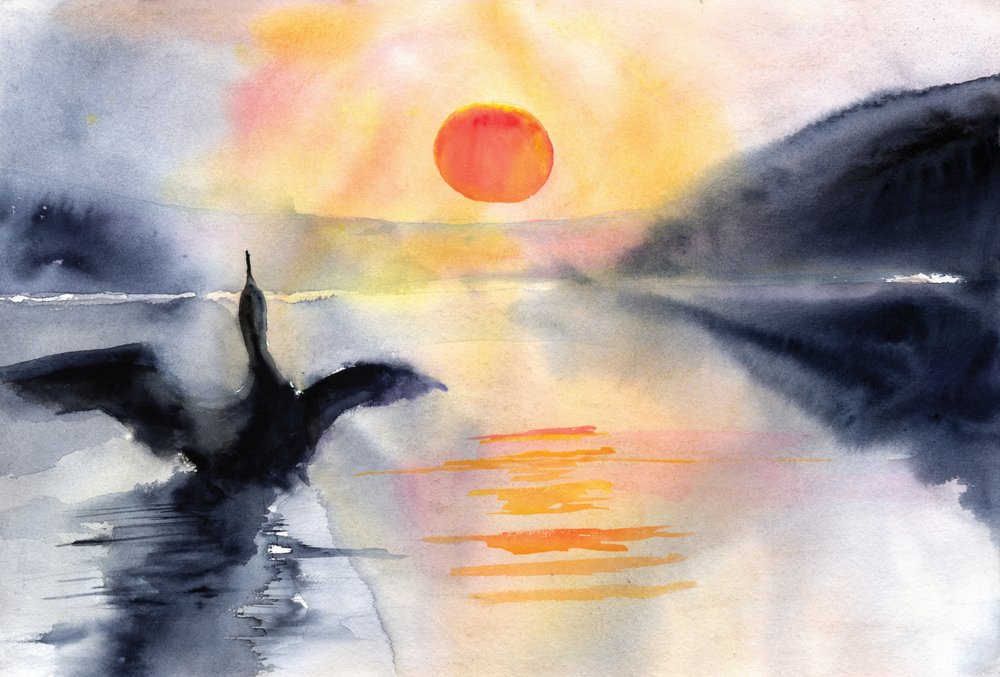 Uccello del Lago Sereno da RodMacIver