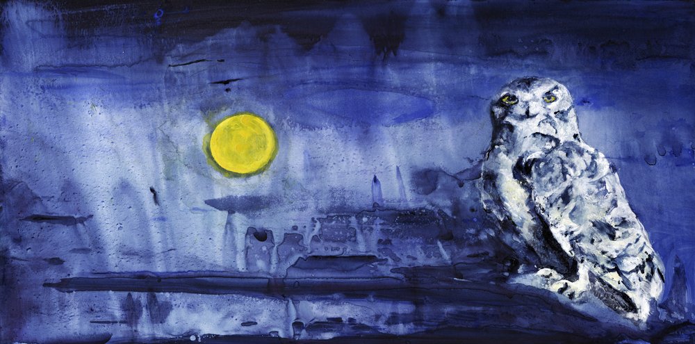 Gufo delle nevi al chiaro di luna da RodMacIver