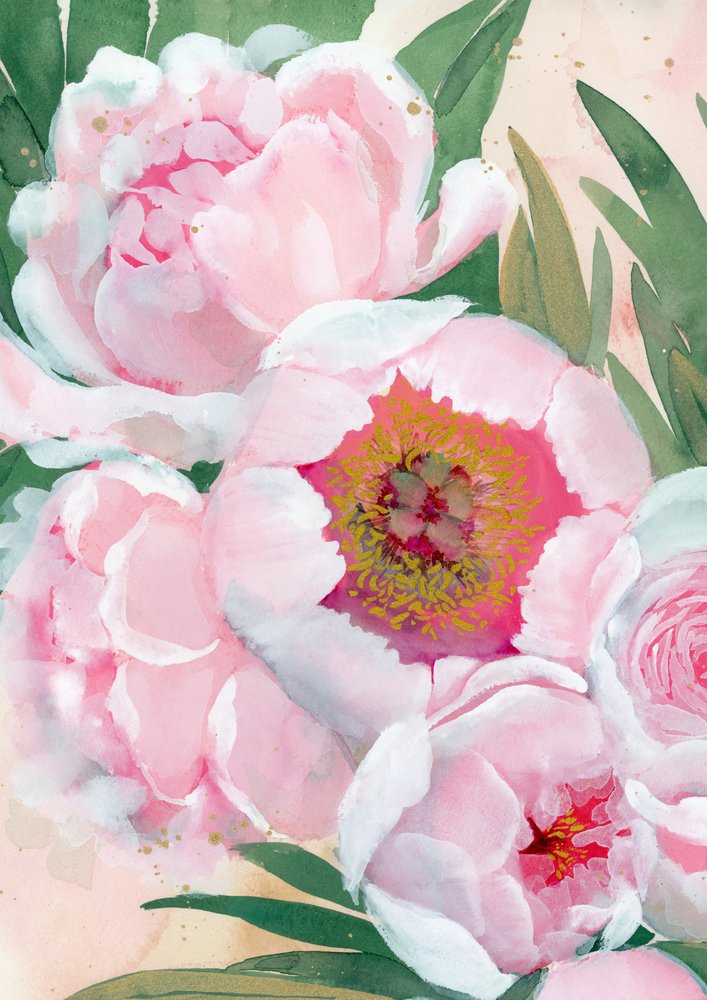 Fiori di peonia rosa da Rosana Laiz Blursbyai