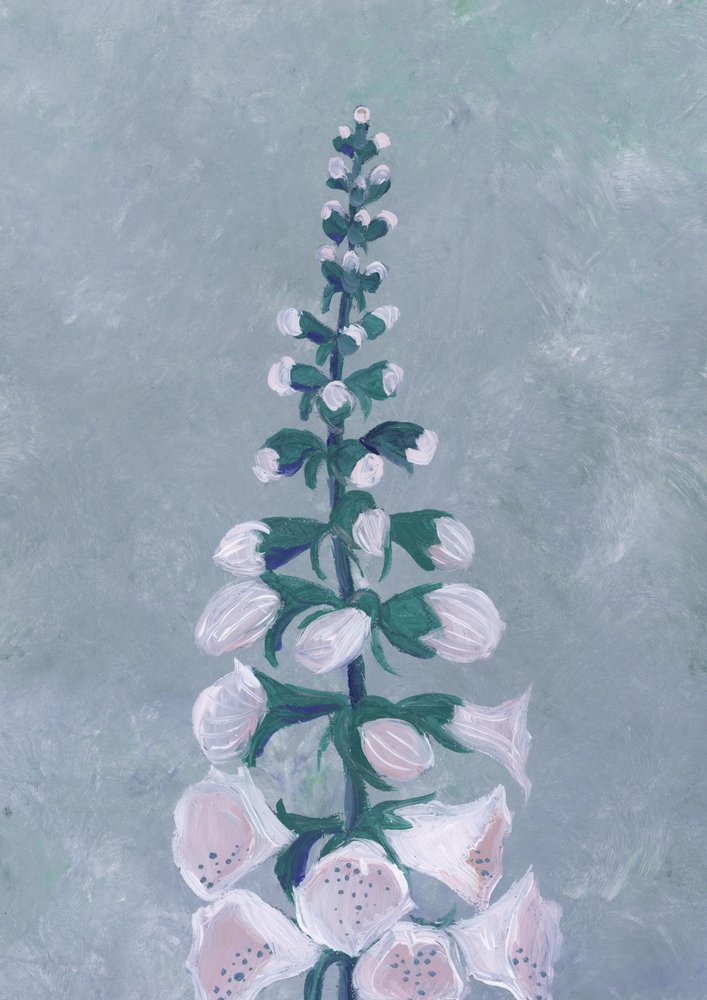 Fiore di digitale bianca da Rosana Laiz Blursbyai
