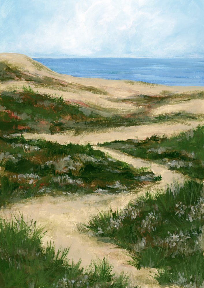 Sentiero tortuoso tra le dune da Rosana Laiz Blursbyai