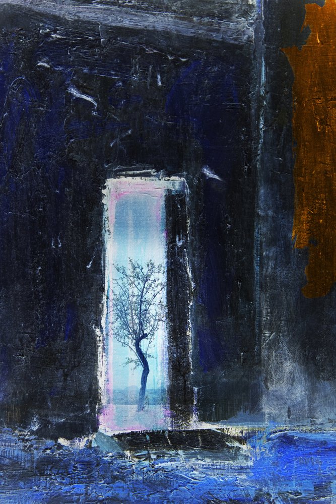 Finestra con albero solitario da Rudi Jacobs