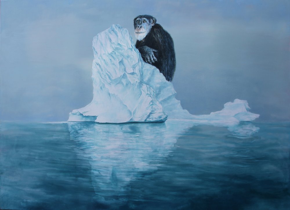 Uno scimpanzé su un iceberg da Rudolf Kosow