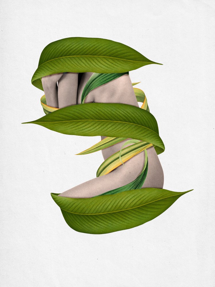 Un corpo avvolto dalla natura da Sammy Slabbinck