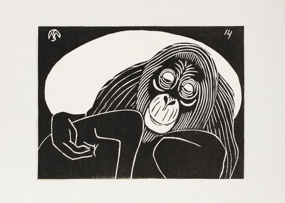 Orangutan da Samuel Jessurun de Mesquita