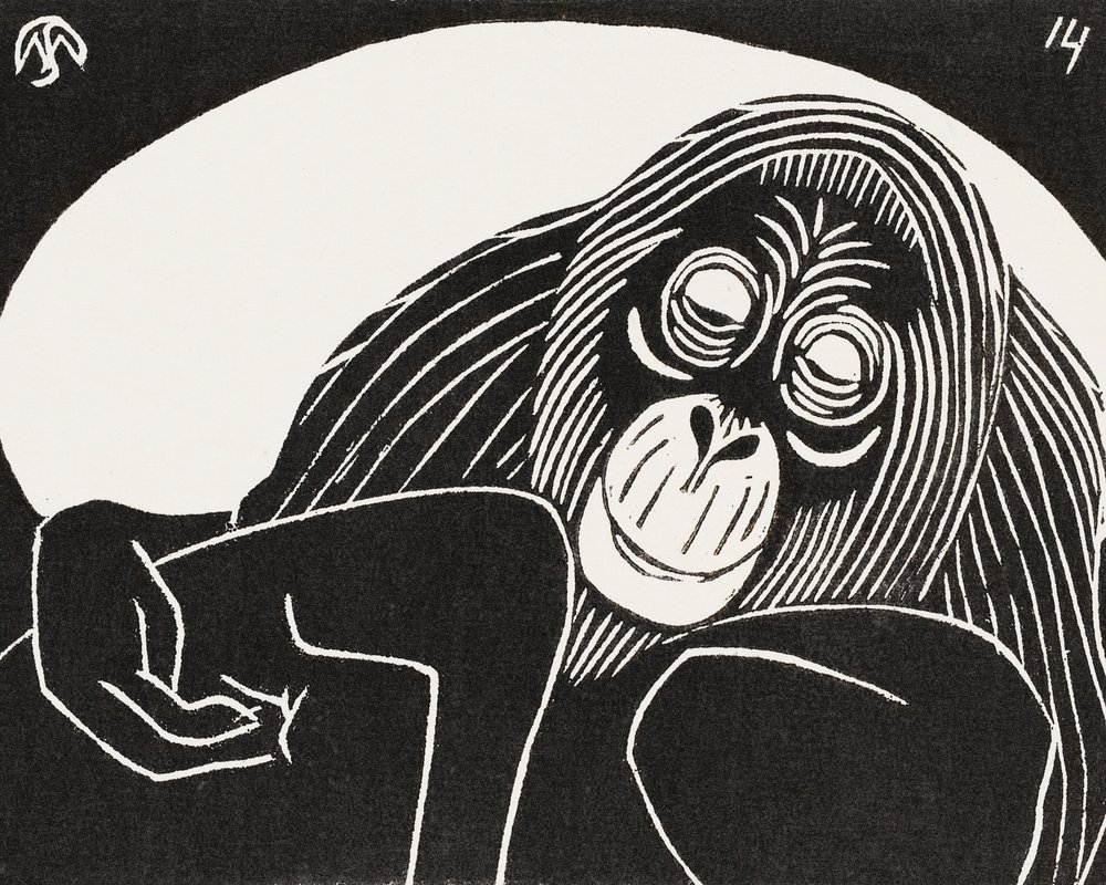 Orangutan da Samuel Jessurun de Mesquita