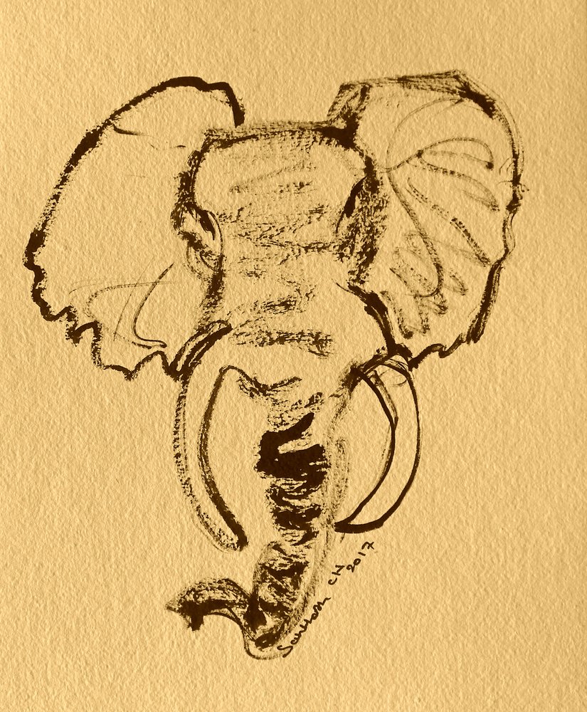 Schizzo di elefante africano da Santhosh ch