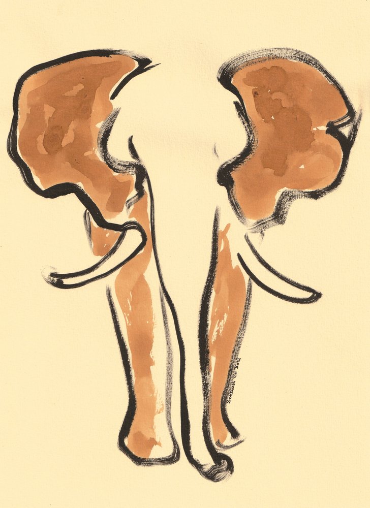 Ritratto di elefante marrone da Santhosh ch