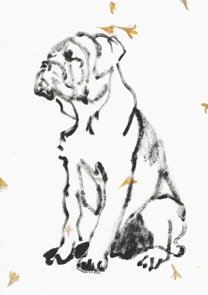Schizzo di un cucciolo di bulldog da Santhosh ch